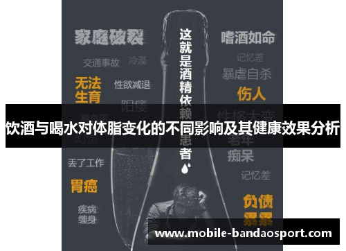 饮酒与喝水对体脂变化的不同影响及其健康效果分析