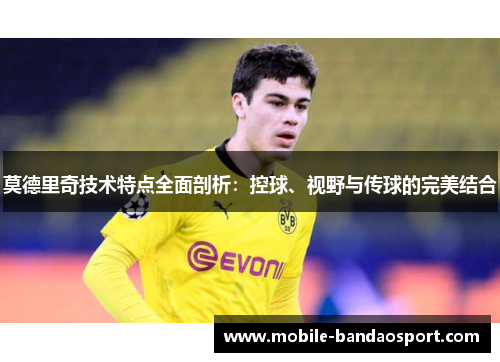 莫德里奇技术特点全面剖析：控球、视野与传球的完美结合