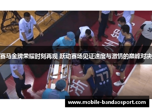 赛马金牌荣耀时刻再现 跃动赛场见证速度与激情的巅峰对决