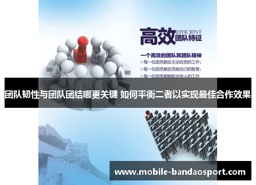 团队韧性与团队团结哪更关键 如何平衡二者以实现最佳合作效果
