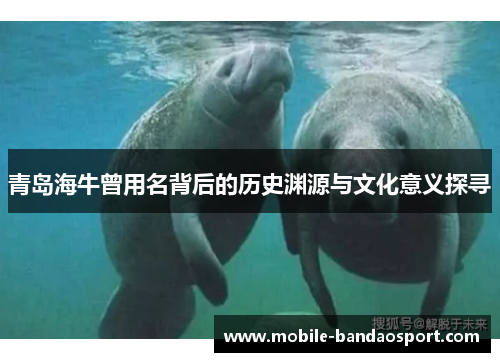 青岛海牛曾用名背后的历史渊源与文化意义探寻